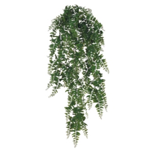 Buckler Fern - Themed Rentals - bulk artificial hanging greenery rental